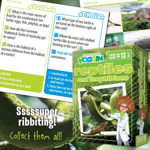 Professor Noggin - Reptiles and Amphibians Card Game