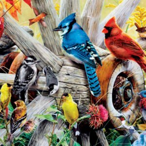 Audubon - Backyard Birds 1000 Piece Puzzle - Masterpieces
