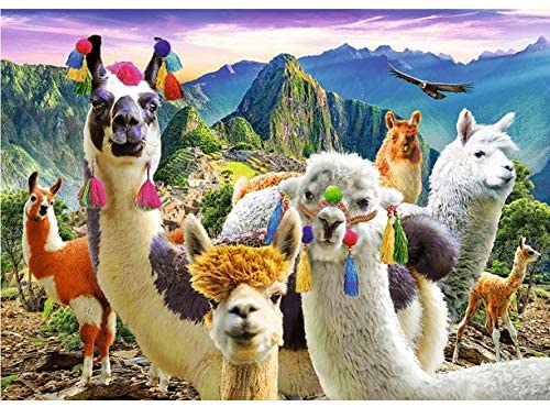 Llamas in the Mountains 500 Piece Puzzle - Trefl