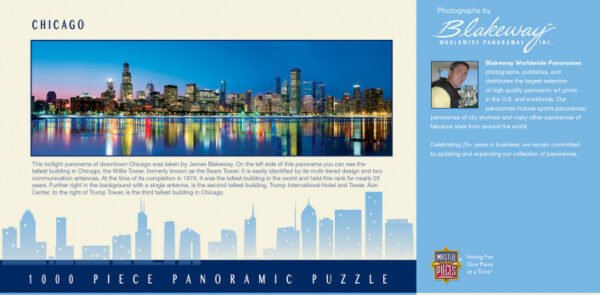 Panoramic Puzzle - Chicago Illinois 1000 Piece - Masterpieces