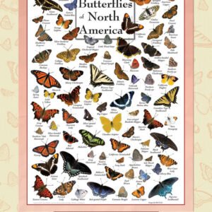 Poster Art - Butterflies of North America 1000 Piece Puzzle - Masterpieces