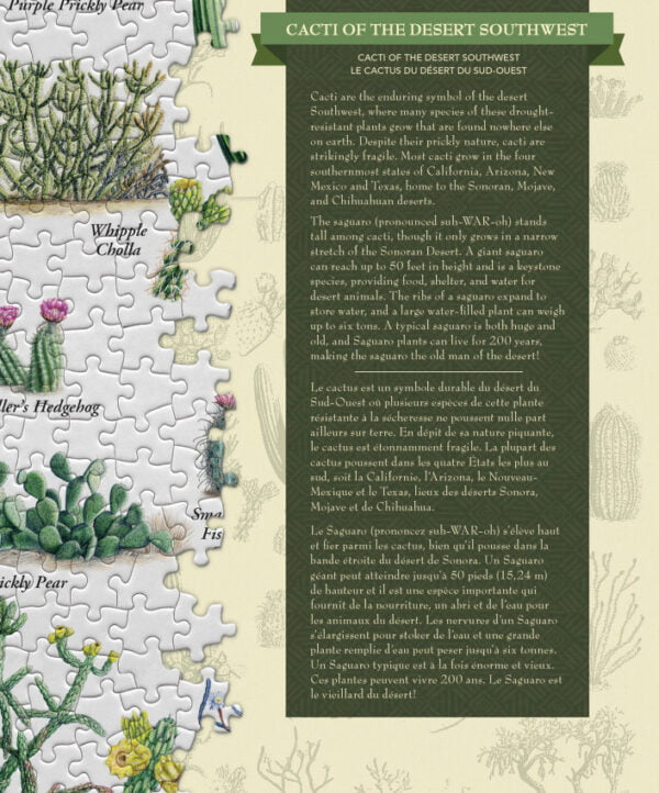 Poster Art - Cacti of the Desert Southwest 1000 Piece Puzzle - Masterpieces