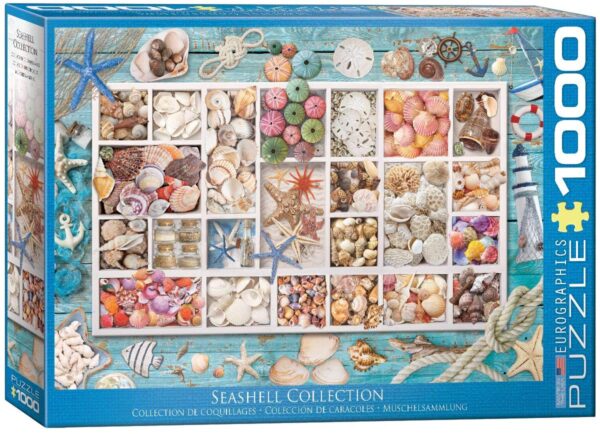 Seashell Collection 1000 Piece Jigsaw Puzzle - Eurographics