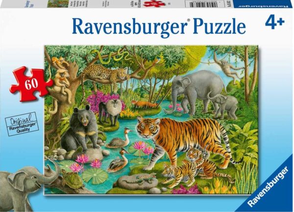 Animals of India 60 Piece Puzzle - Ravensburger
