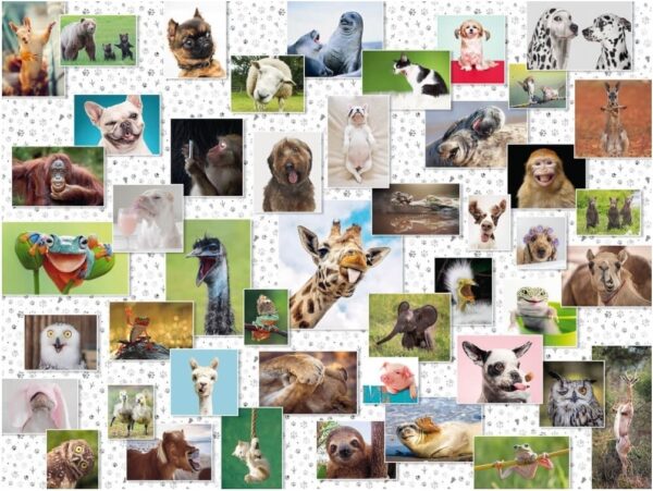 Funny Animals 1500 Piece Puzzle - Ravensburger