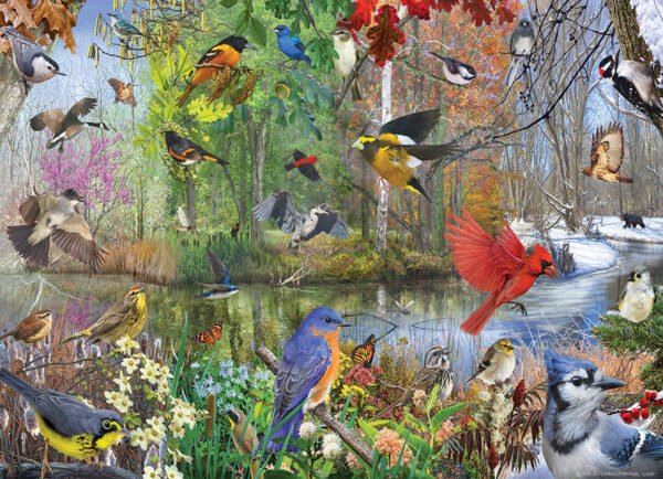 Birds of the Season 1000 Piece puzzle - Cobble Hill