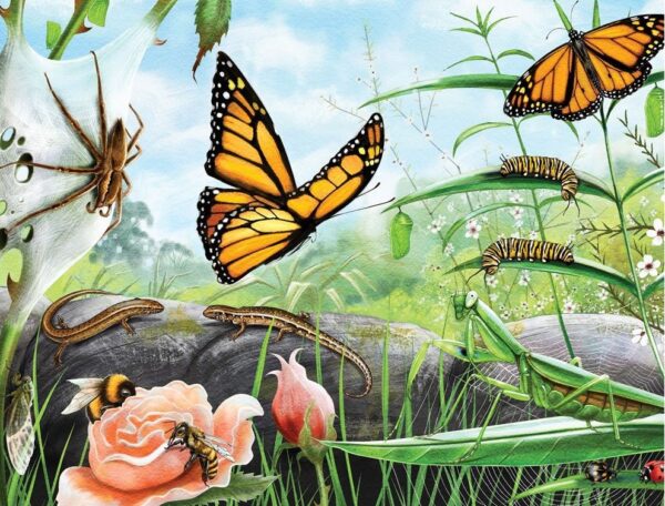 Treasures of Aotearoa - Bugs & Butterflies 300 XL Piece Puzzle - Holdson