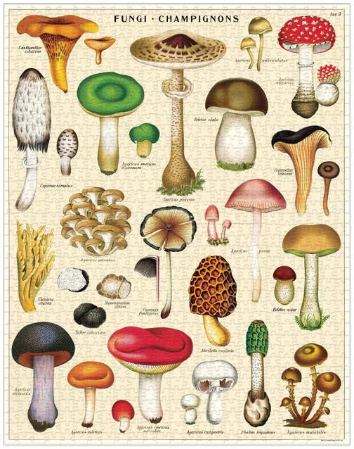 Mushrooms 1000 Piece Cavallini Puzzle