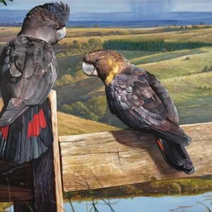 Afternoon Sun 1000 Piece Puzzle - Garry Fleming