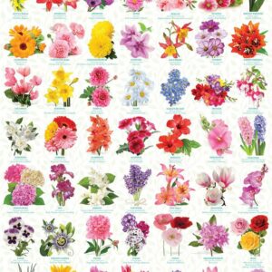 The Language of Flowers 1000 Piece Puzzle - Eurographics