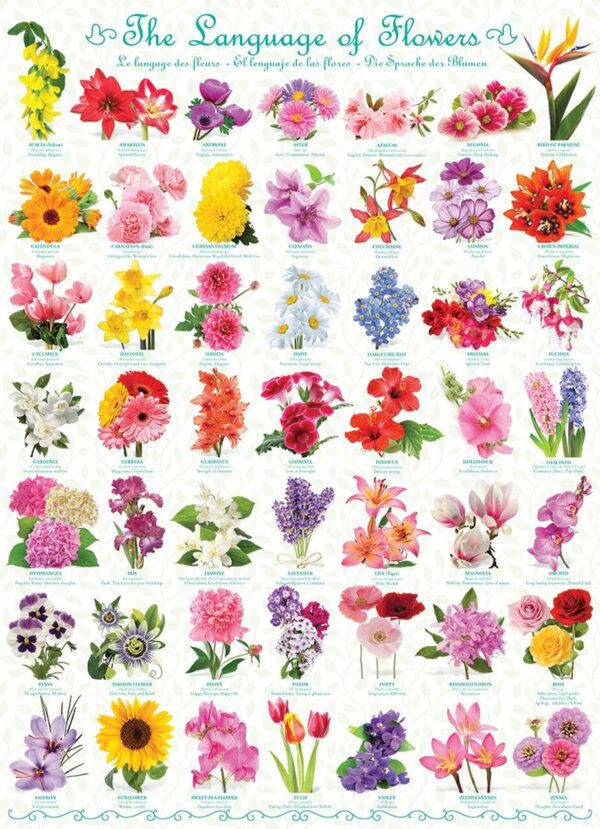The Language of Flowers 1000 Piece Puzzle - Eurographics
