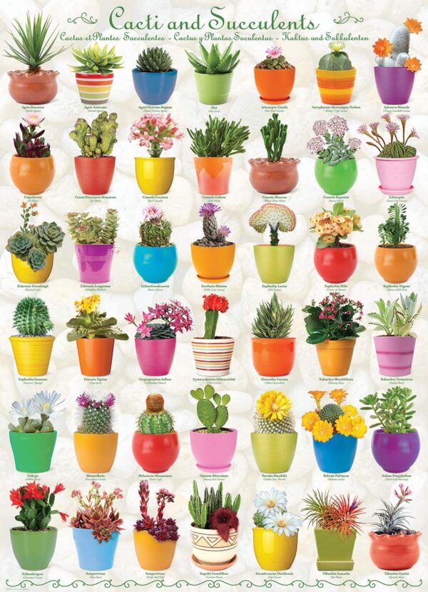 Cacti and Succulents 1000 Piece Puzzle - Eurographics