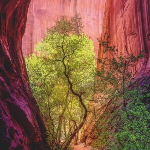 Power of Nature - Singing Canyon