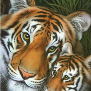 Two's Company - Tiger & Cub