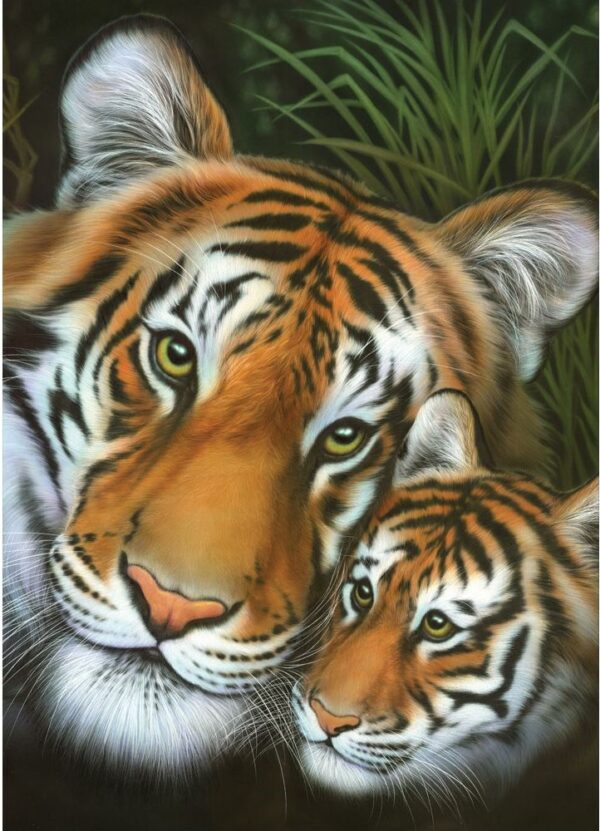 Two's Company - Tiger & Cub