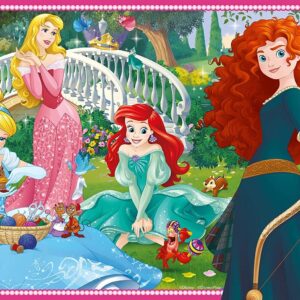 In the World of Disney Princesses