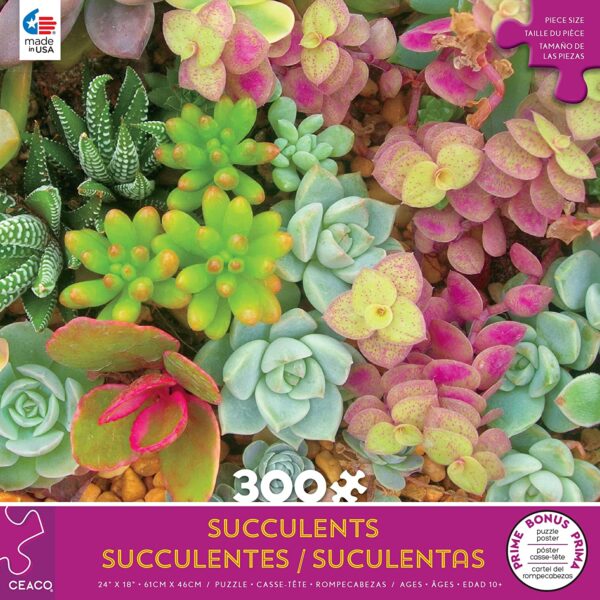 Succulents - Bright Succulents
