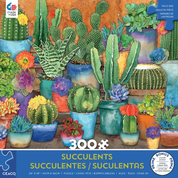 Succulents - Cactus Pots