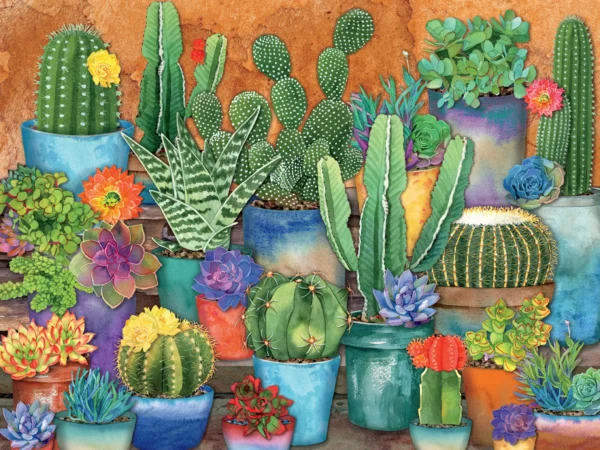 Succulents -Cactus Pots