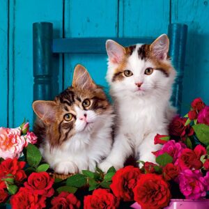 Kittens and Roses 500 Larger Piece Puzzle