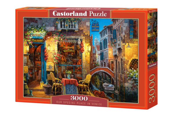 Our Special Place in Venice 3000 Piece Puzzle