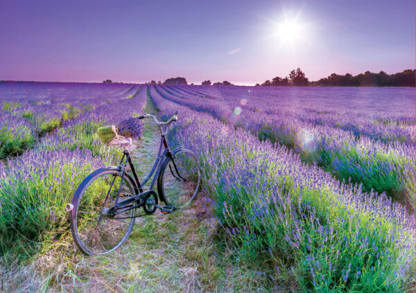 Bike in Lavender Field 1000 Piece Puzzle