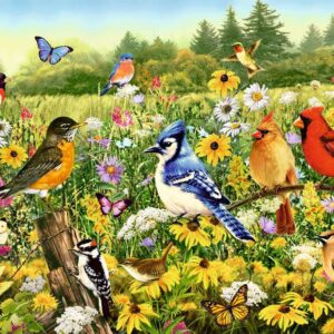 Birds in the Meadow 500 Piece Puzzle