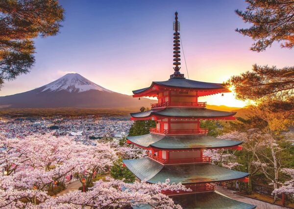 Mount Fuji Cherry Blossom View