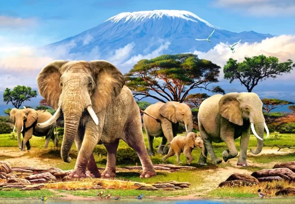 Kilimanjaro Morning 1000 Piece Puzzle