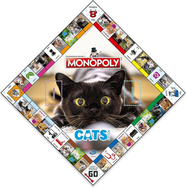 Monopoly Cats