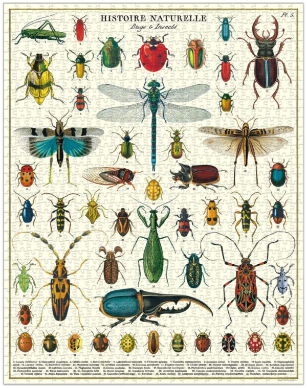 Bugs and Insects