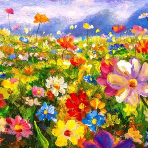 Colourful Flower Meadow