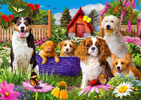 Puppy Patch