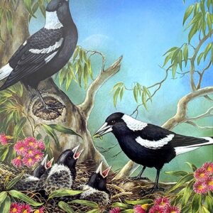 Australian Magpies