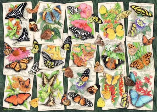 Tropical Butterflies