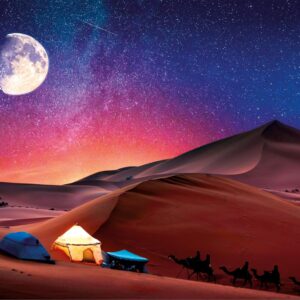 Clementoni - Peace Starry Night Dream 500 Piece Puzzle
