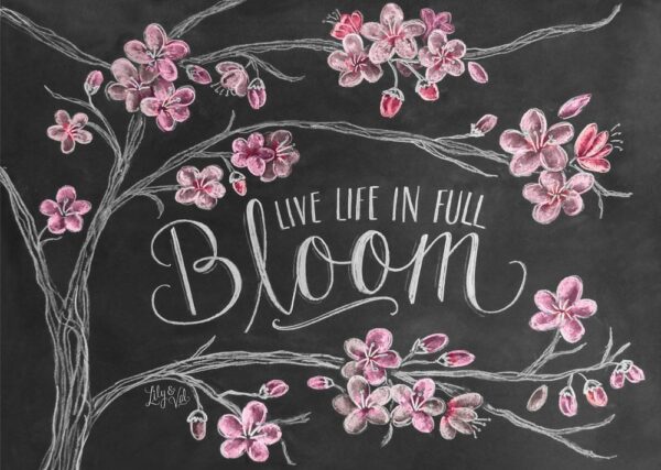 Holdson - Chalk Talk - In Full Bloom 1000 Piece Puzzle