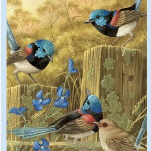 Shirley Barber - Red-Winged Fairy Wrens 1000 Piece Puzzle