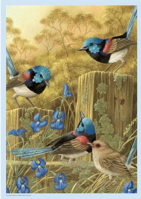 Shirley Barber - Red-Winged Fairy Wrens 1000 Piece Puzzle