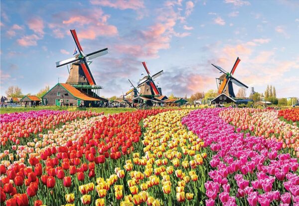 Windmill