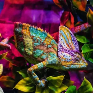 Ravensburger - Chameleon 500 Piece Puzzle