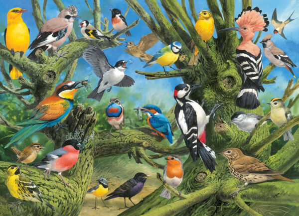 Eurographics - Garden Birds, Jardin 1000 Piece Puzzle