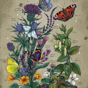 Ravensburger - Lifecircle Butterfly 1000 Piece Puzzle