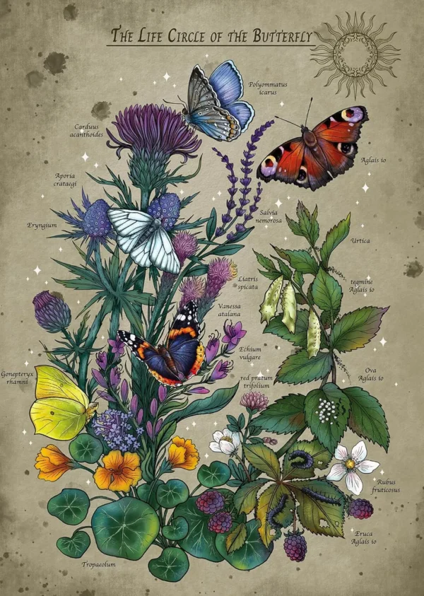 Ravensburger - Lifecircle Butterfly 1000 Piece Puzzle