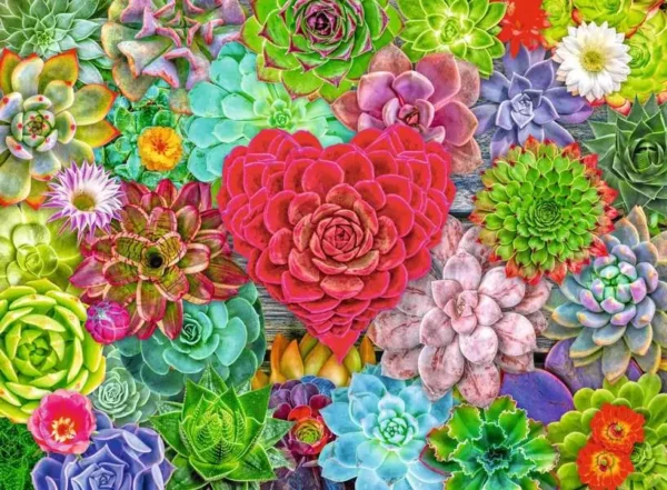 Ravensburger - Succulent Love 500 Piece Puzzle