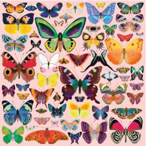 Mudpuppy - Brilliant Butterflies 500 Piece Puzzle