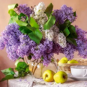 Castorland - Lilac Still Life 500 Piece Puzzle
