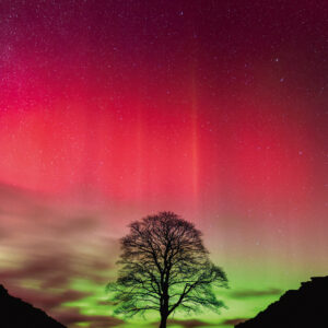 Heye - Power of Nature - Sycamore Gap 1000 Piece Puzzle