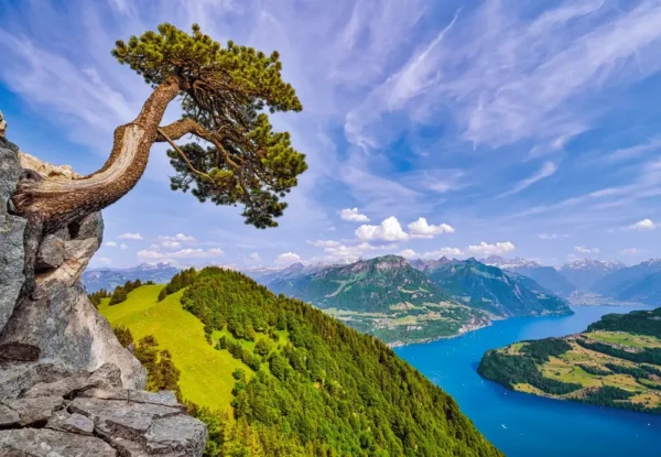 Castorland - View of the Lake of Uri, Switzerland 1000 Piece Puzzle