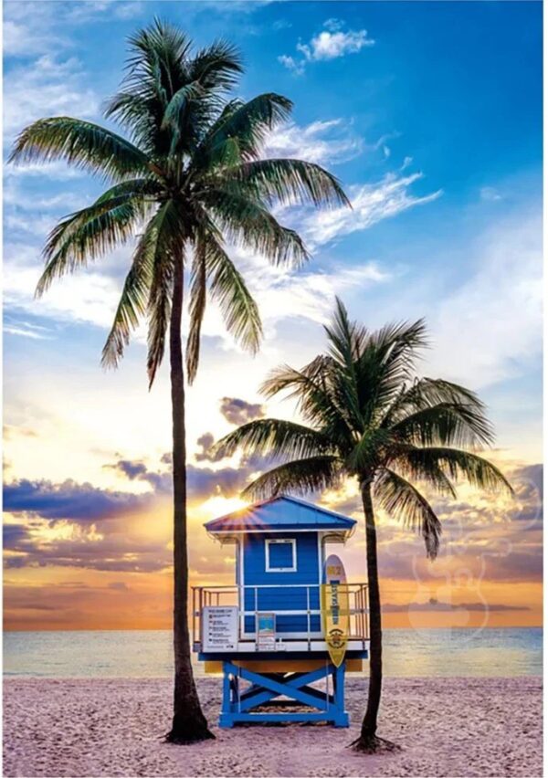Clementoni - Miami Beach Florida 500 Piece Puzzle